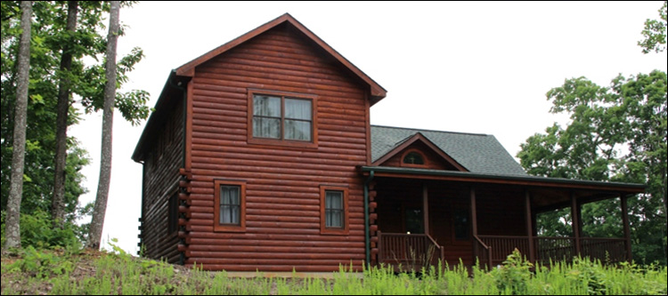 Professional Log Home Borate Application  Pulaski, Virginia